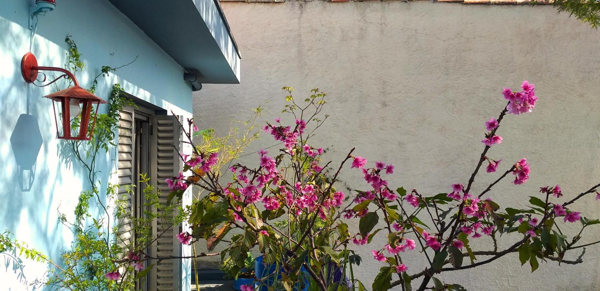 Micasa Hostel - Congonhas Sao Paulo Exterior photo